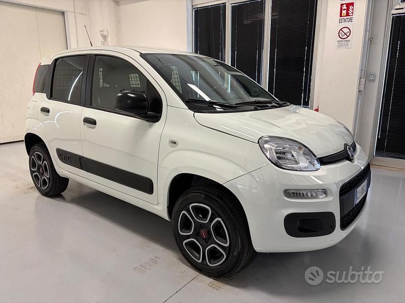 Usata Fiat Panda 4x4 Pop 86 CV (63 kW) 2022 Bianco Utilitaria