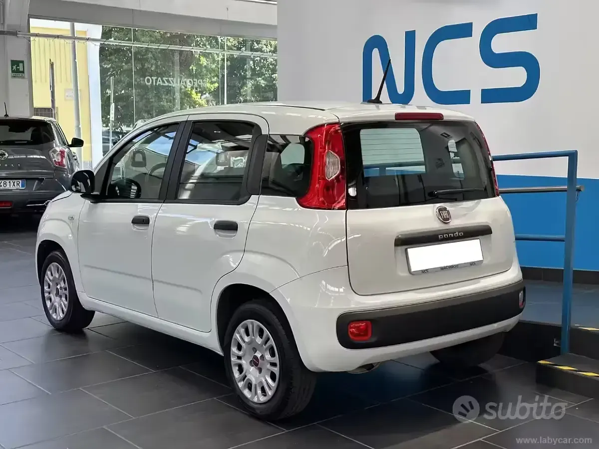 Usata Fiat Panda Easy 69 CV (50 kW) 2020 Bianco Utilitaria