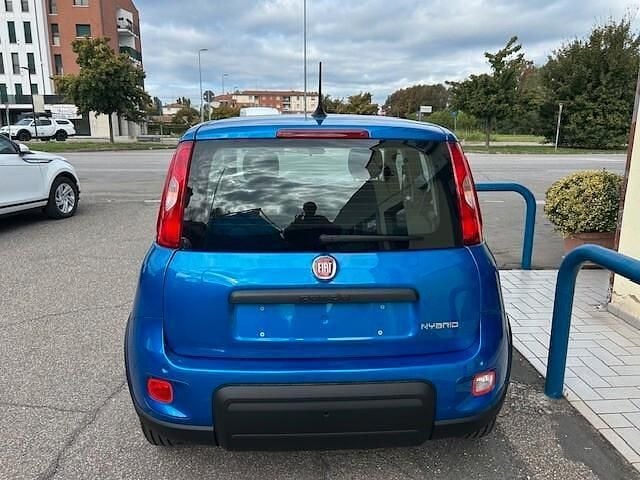 Usata Fiat Panda Cross Cross 70 CV (51 kW) 2024 Blu Utilitaria