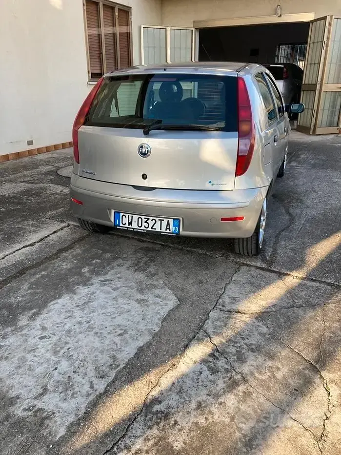 Usata Fiat Punto 60 CV (44 kW) 2005 Grigio Utilitaria