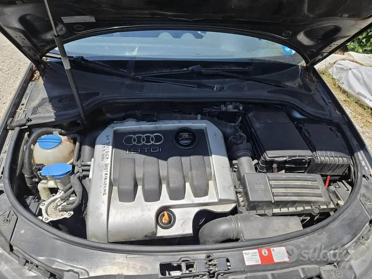 Usata Audi A3 105 CV (77 kW) 2004 Utilitaria