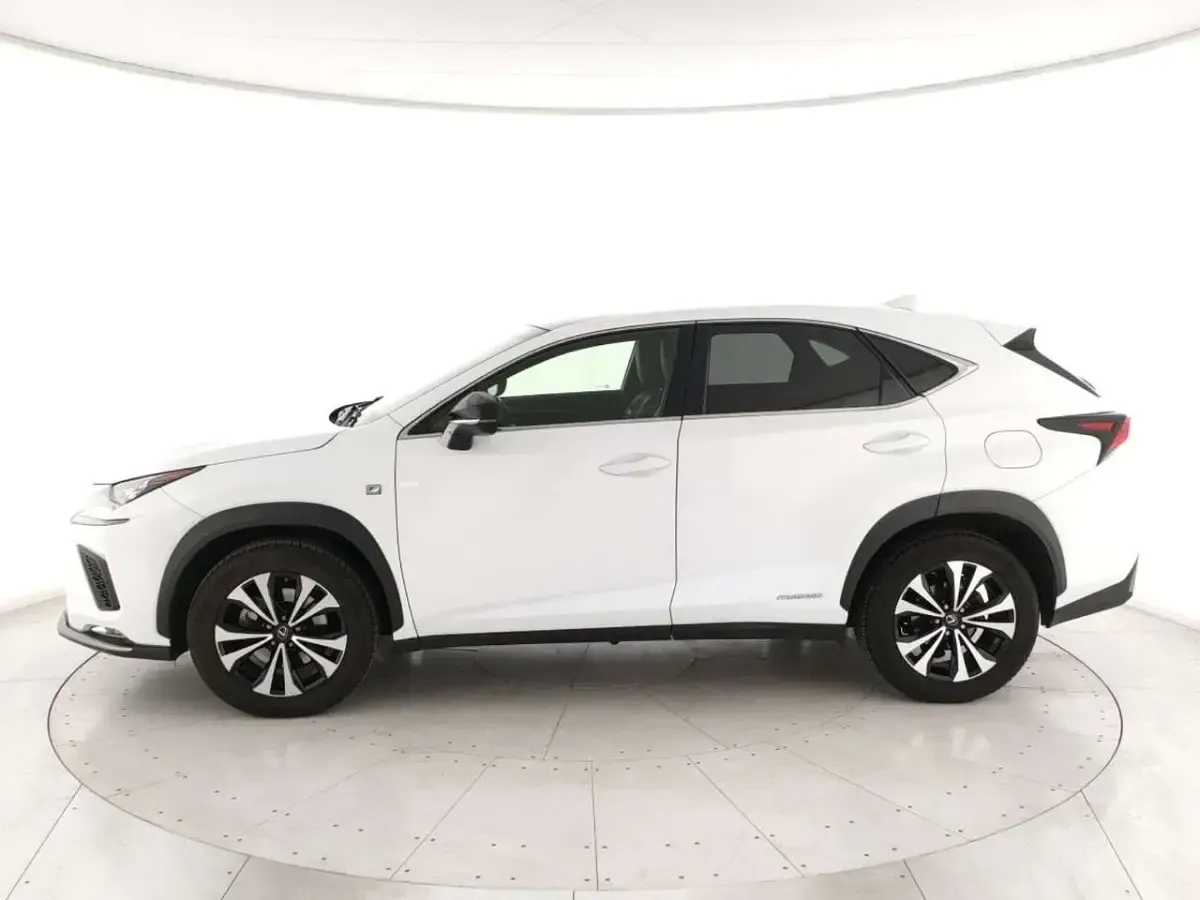 Usata Lexus NX300h Sport Line 155 CV (114 kW) 2019 Bianco SUV