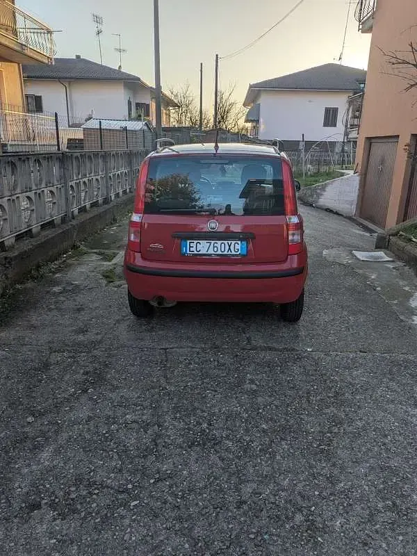 Usata Fiat Panda 54 CV (39 kW) 2010 Rosso Utilitaria