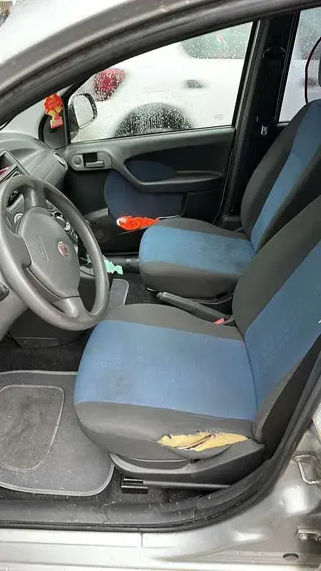 Usata Fiat Panda Dynamic 69 CV (50 kW) 2011 Utilitaria