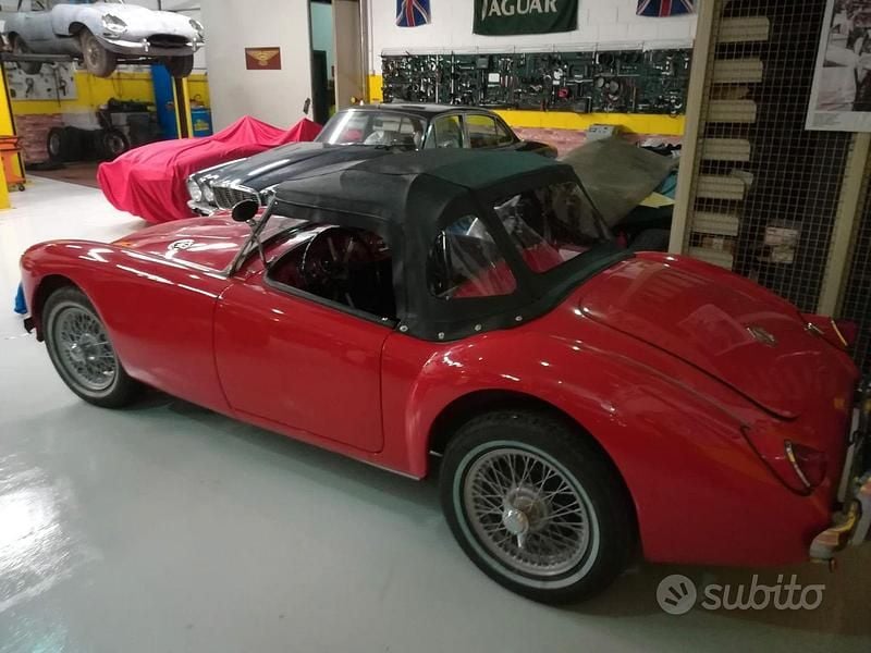 Usata MG MGA 1950 Cabrio