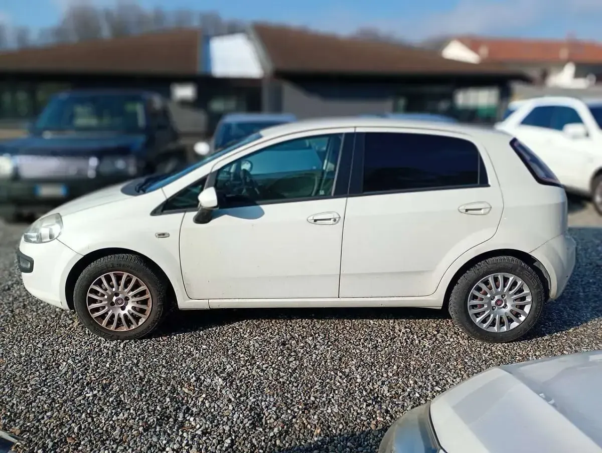 Usata Fiat Punto Evo Dynamic 75 CV (55 kW) 2011 Bianco Utilitaria