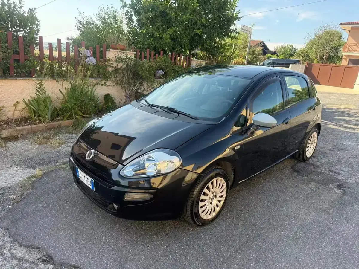 Usata Fiat Punto Evo Active 75 CV (55 kW) 2012 Nero Utilitaria
