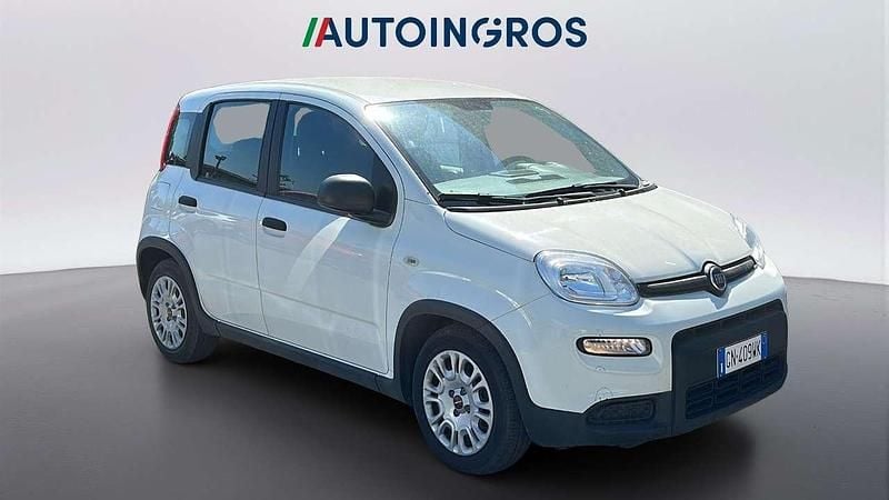 Usata Fiat Panda S 69 CV (50 kW) 2023 Bianco gelato Utilitaria