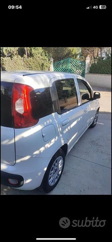 Usata Fiat Panda 2014 Bianco Utilitaria