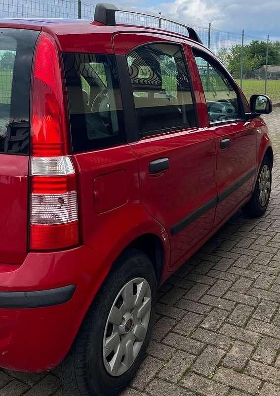Usata Fiat Panda Dynamic 69 CV (50 kW) 2011 Rosso Utilitaria