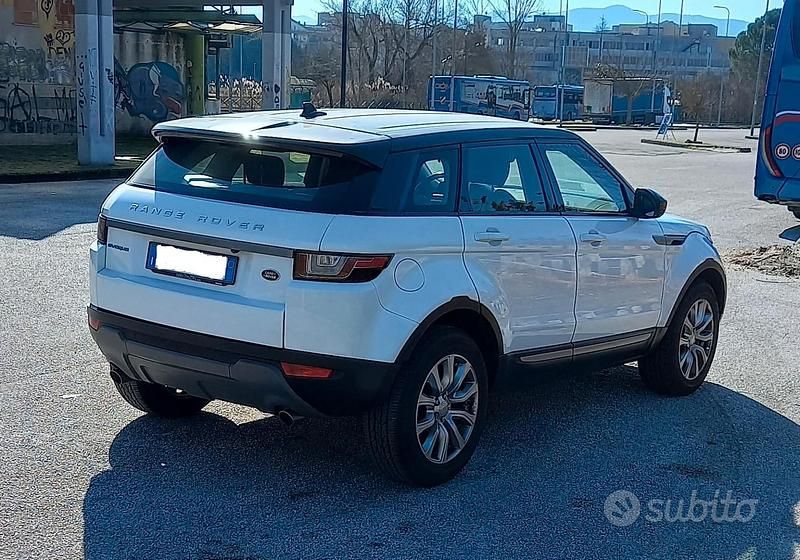 Usata Land Rover Range Rover evoque 150 CV (110 kW) 2016 Bianco SUV