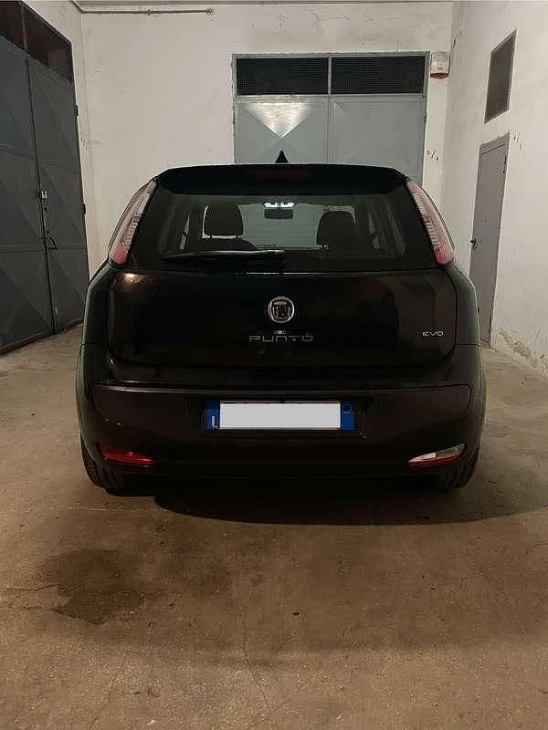 Usata Fiat Punto Evo Emotion 77 CV (56 kW) 2010 Utilitaria
