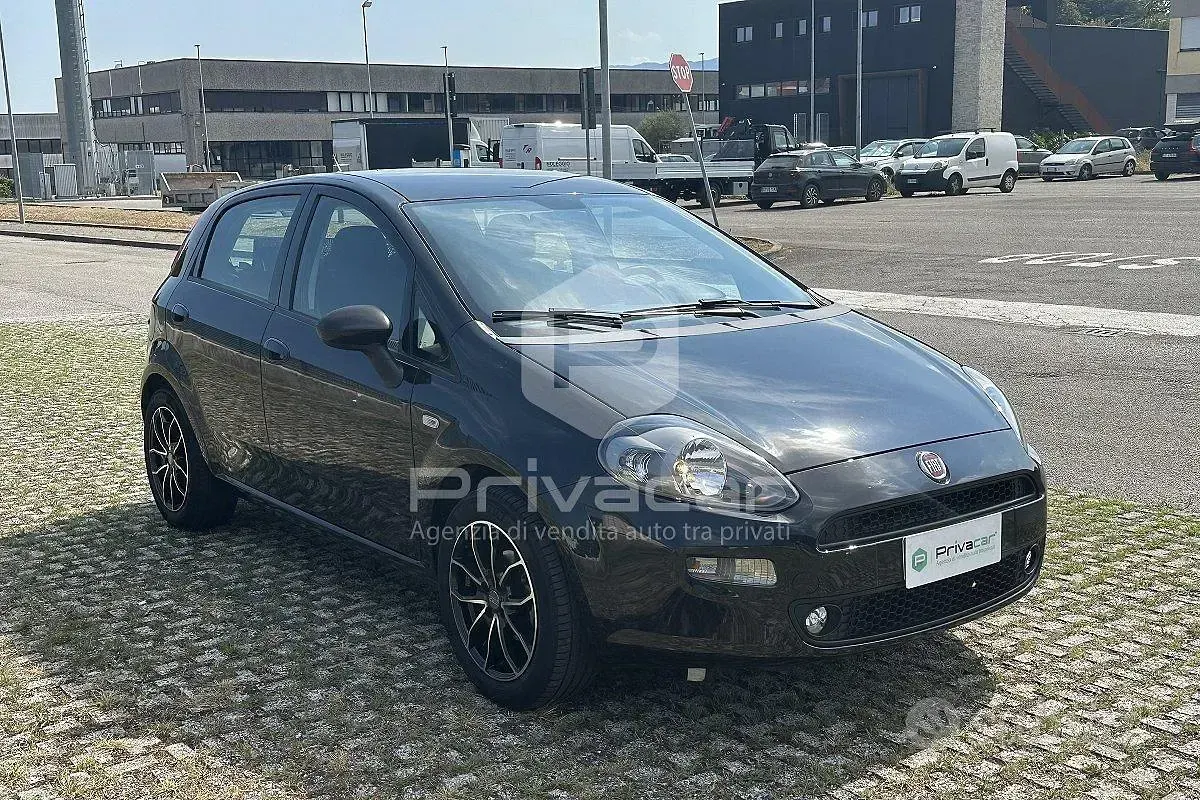 Usata Fiat Punto Lounge 69 CV (50 kW) 2016 Nero Utilitaria