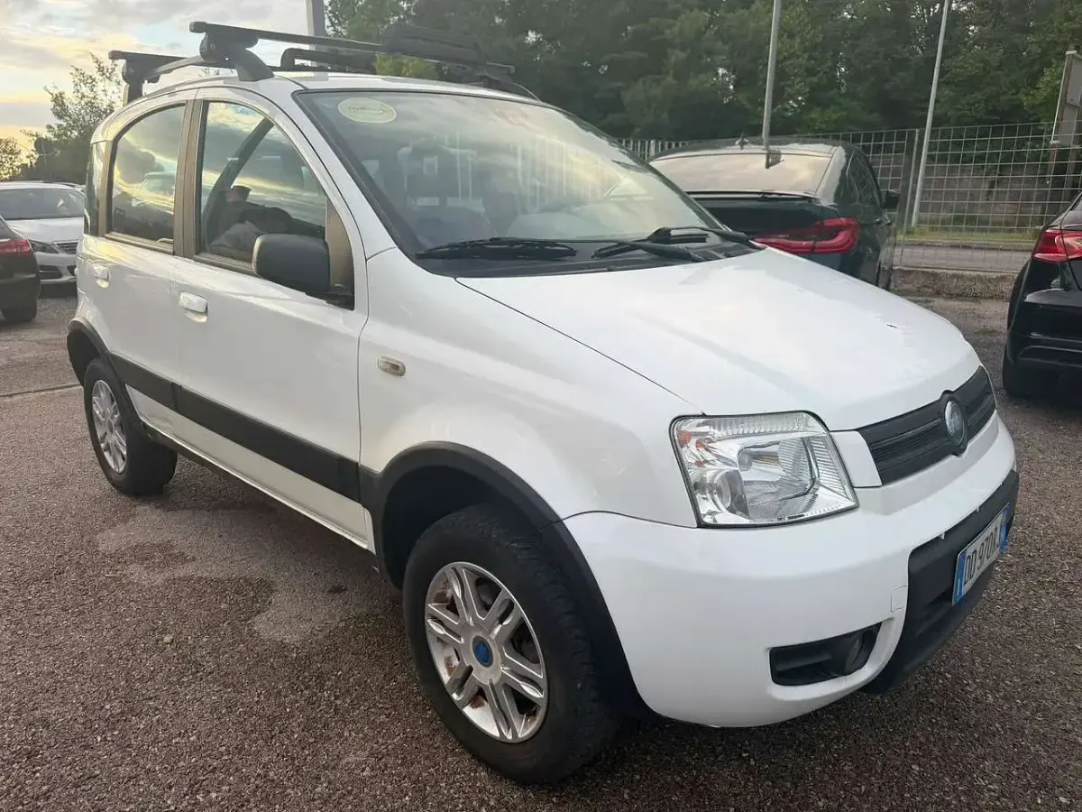 Usata Fiat Panda 4x4 Climbing 69 CV (50 kW) 2006 Bianco Utilitaria