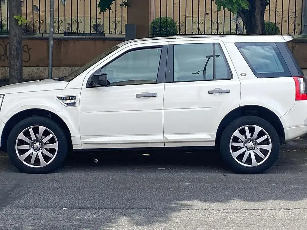 Usata Land Rover Freelander 2 HSE 160 CV (117 kW) 2009 Bianco SUV