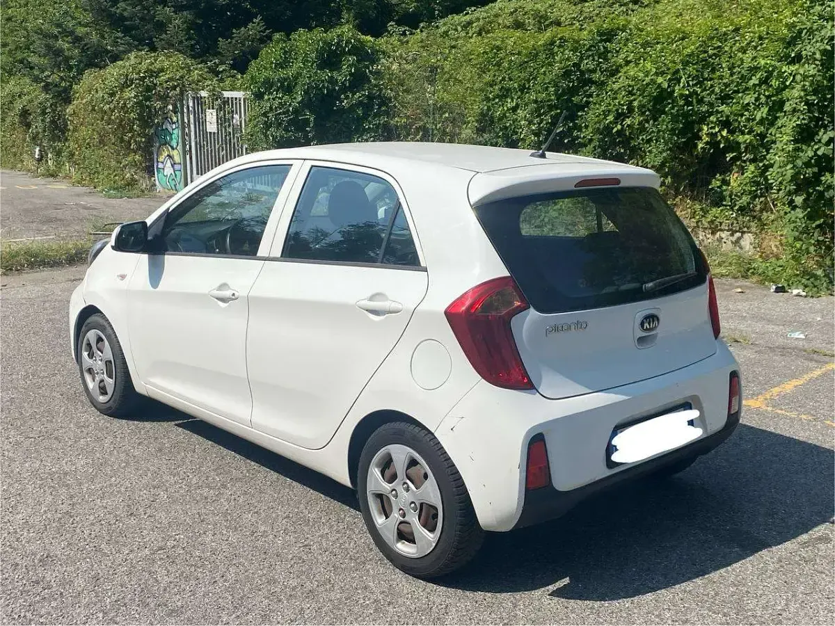 Usata Kia Picanto 65 CV (47 kW) 2016 Other Utilitaria