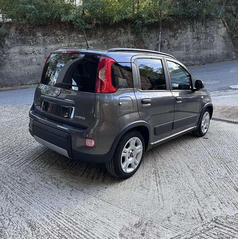 Usata Fiat Panda City Life 69 CV (50 kW) 2023 Other Utilitaria