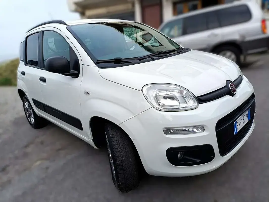 Usata Fiat Panda 4x4 S 80 CV (58 kW) 2018 Bianco Utilitaria