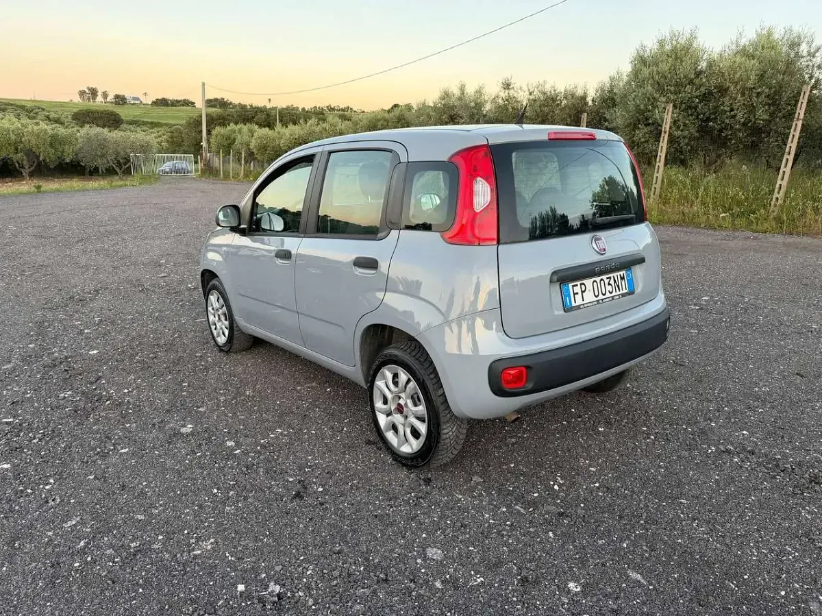 Usata Fiat Panda Easy 80 CV (58 kW) 2018 Grigio Utilitaria