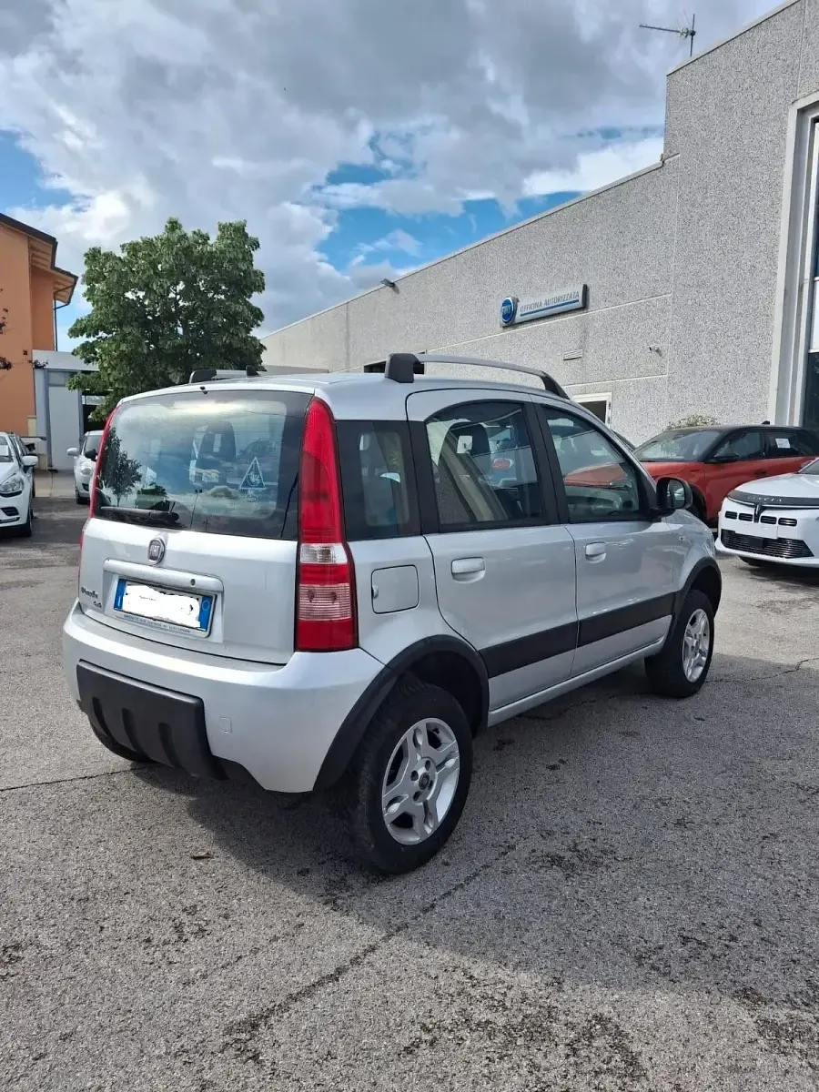 Usata Fiat Panda 4x4 Climbing 75 CV (55 kW) 2011 Utilitaria