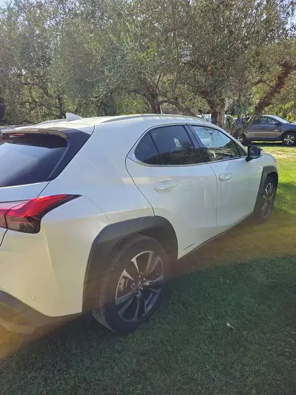 Usata Lexus UX 250h Luxury Line 145 CV (106 kW) 2020 Bianco SUV