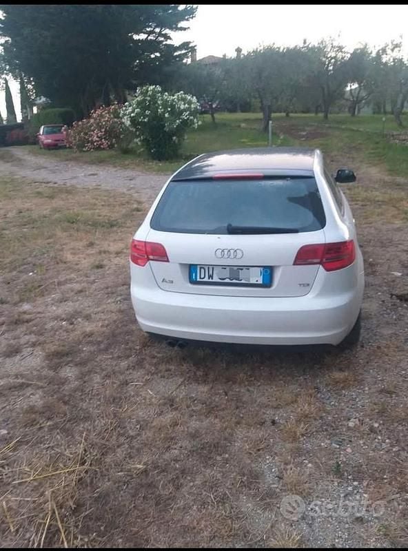 Usata Audi A3 105 CV (77 kW) 2009 Bianco Utilitaria