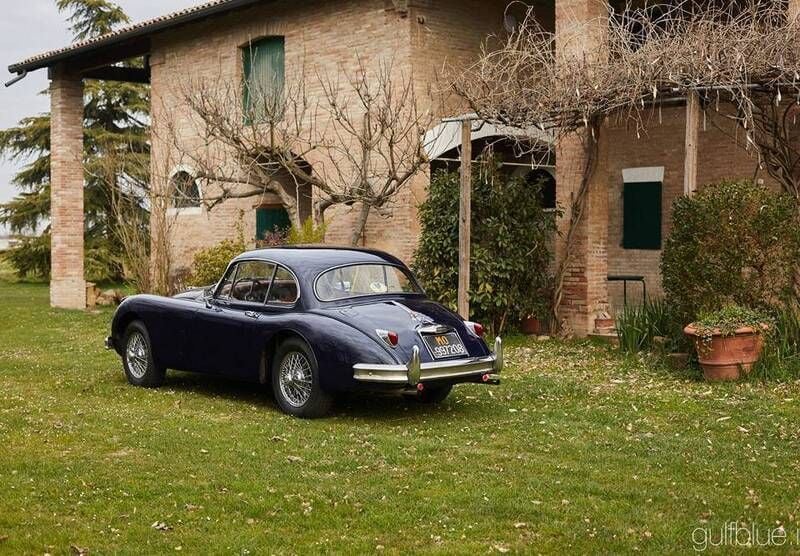 Immagine 4