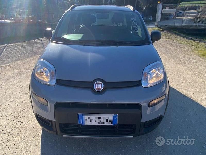 Usata Fiat Panda 4x4 2019 Grigio Utilitaria