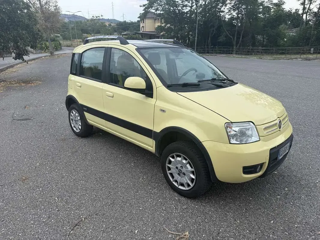 Usata Fiat Panda 4x4 Climbing 60 CV (44 kW) 2005 Utilitaria