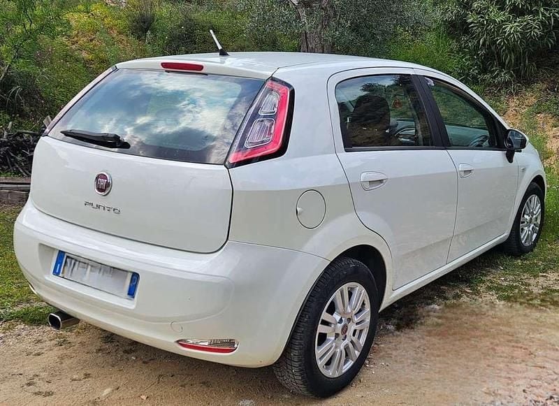 Usata Fiat Punto 75 CV (55 kW) 2013 Utilitaria