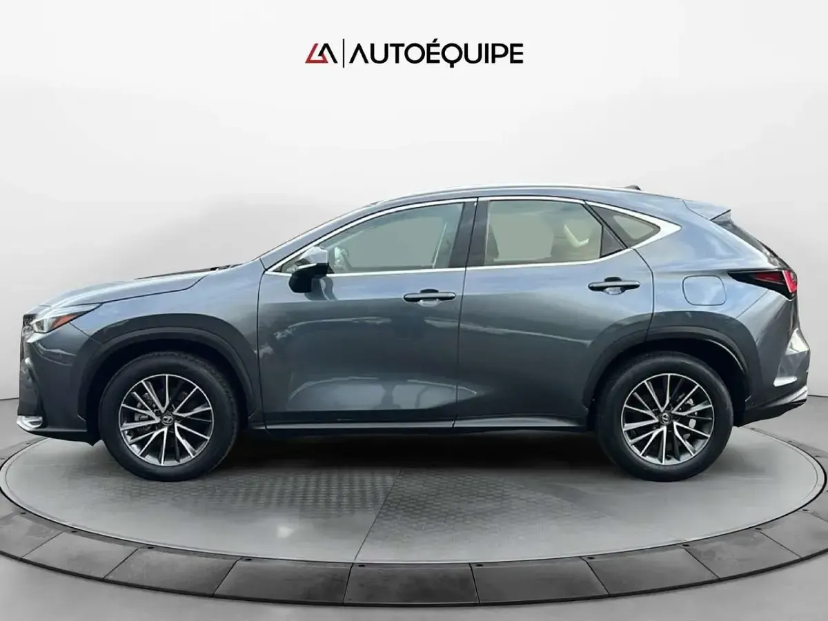 Usata Lexus NX350h Business Edition 243 CV (178 kW) 2023 Grigio SUV