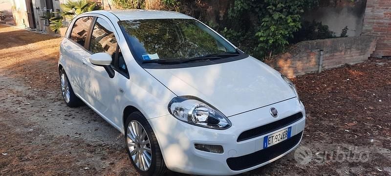 Usata Fiat Punto 69 CV (50 kW) 2013 Utilitaria