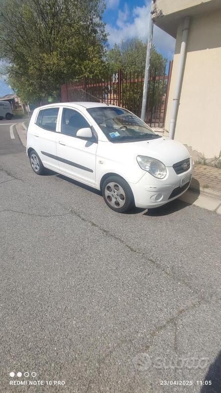 Usata Kia Picanto 61 CV (44 kW) 2008 Bianco Utilitaria
