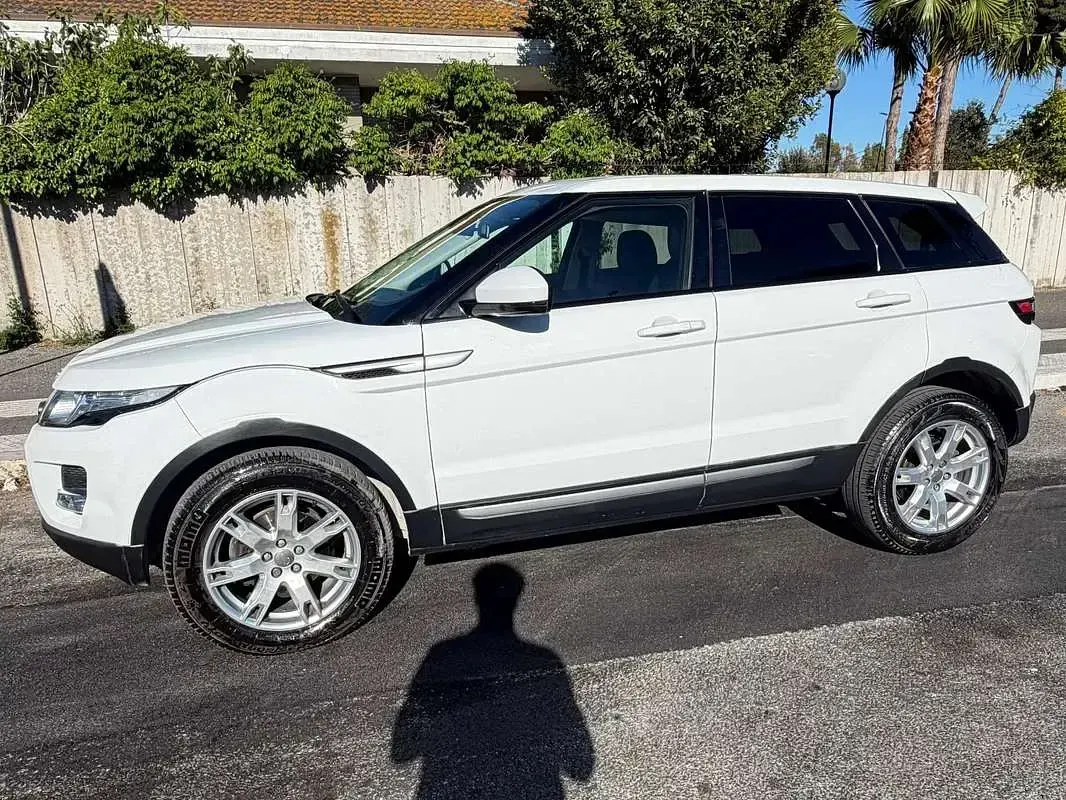 Usata Land Rover Range Rover evoque Pure 150 CV (110 kW) 2014 Bianco SUV