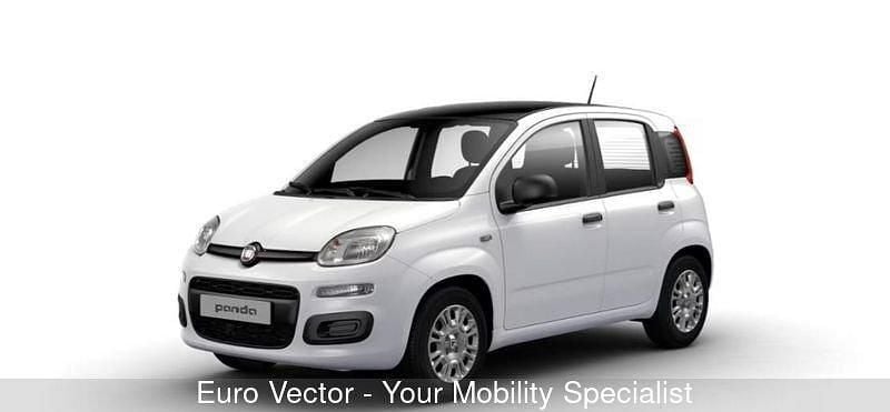 Käytetty Fiat Panda Icon 69 HP (50 kW) 2025 Viistoperä