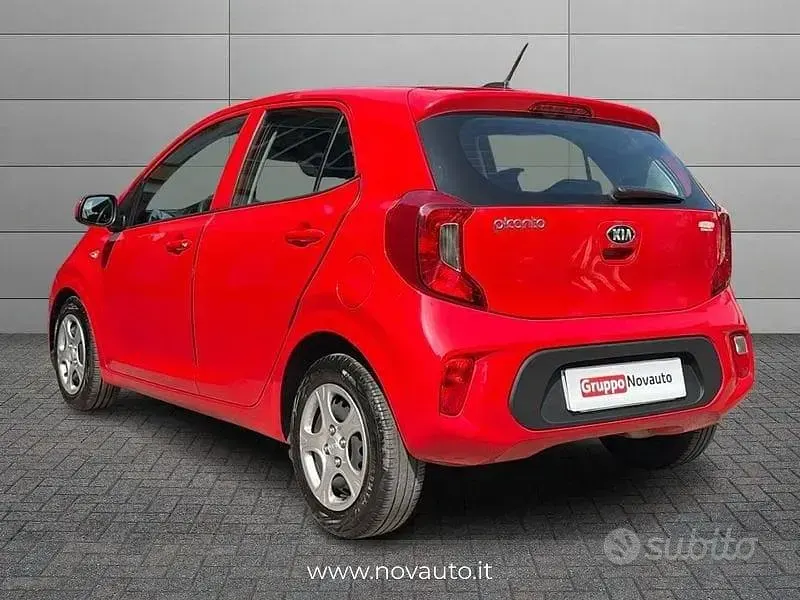 Usata Kia Picanto Urban 67 CV (49 kW) 2020 Rosso Utilitaria