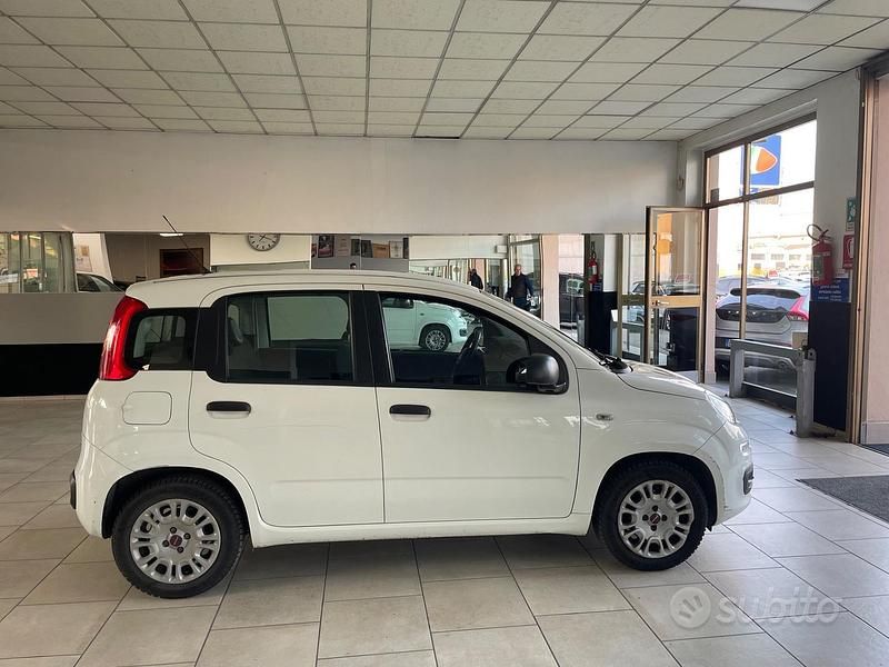 Usata Fiat Panda Easy 69 CV (50 kW) 2017 Bianco Utilitaria