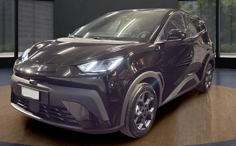 Nuova BYD Dolphin Surf Active 64 kW (88 CV) 2026 Polar night black Utilitaria