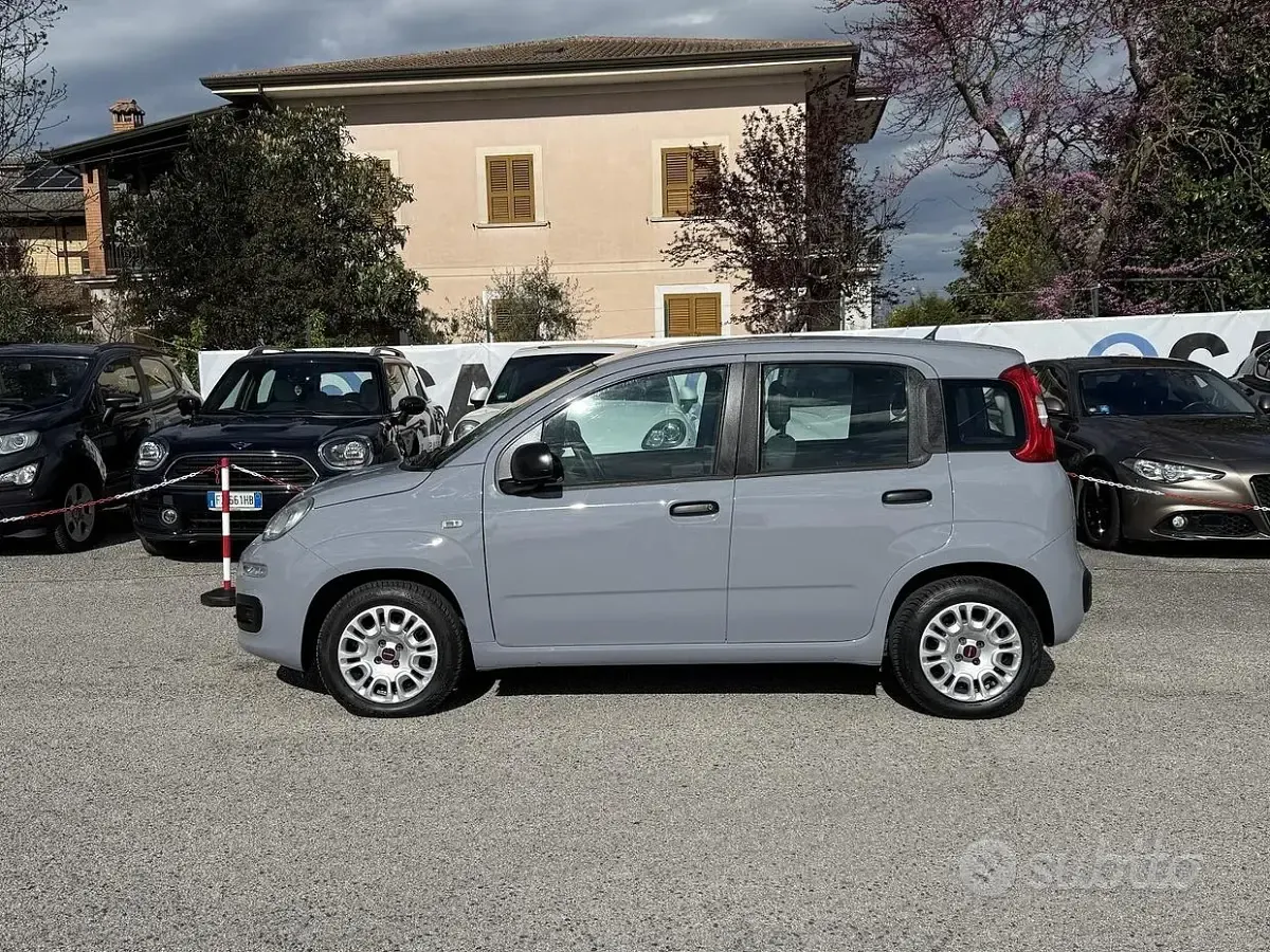 Usata Fiat Panda 69 CV (50 kW) 2019 Grigio Utilitaria