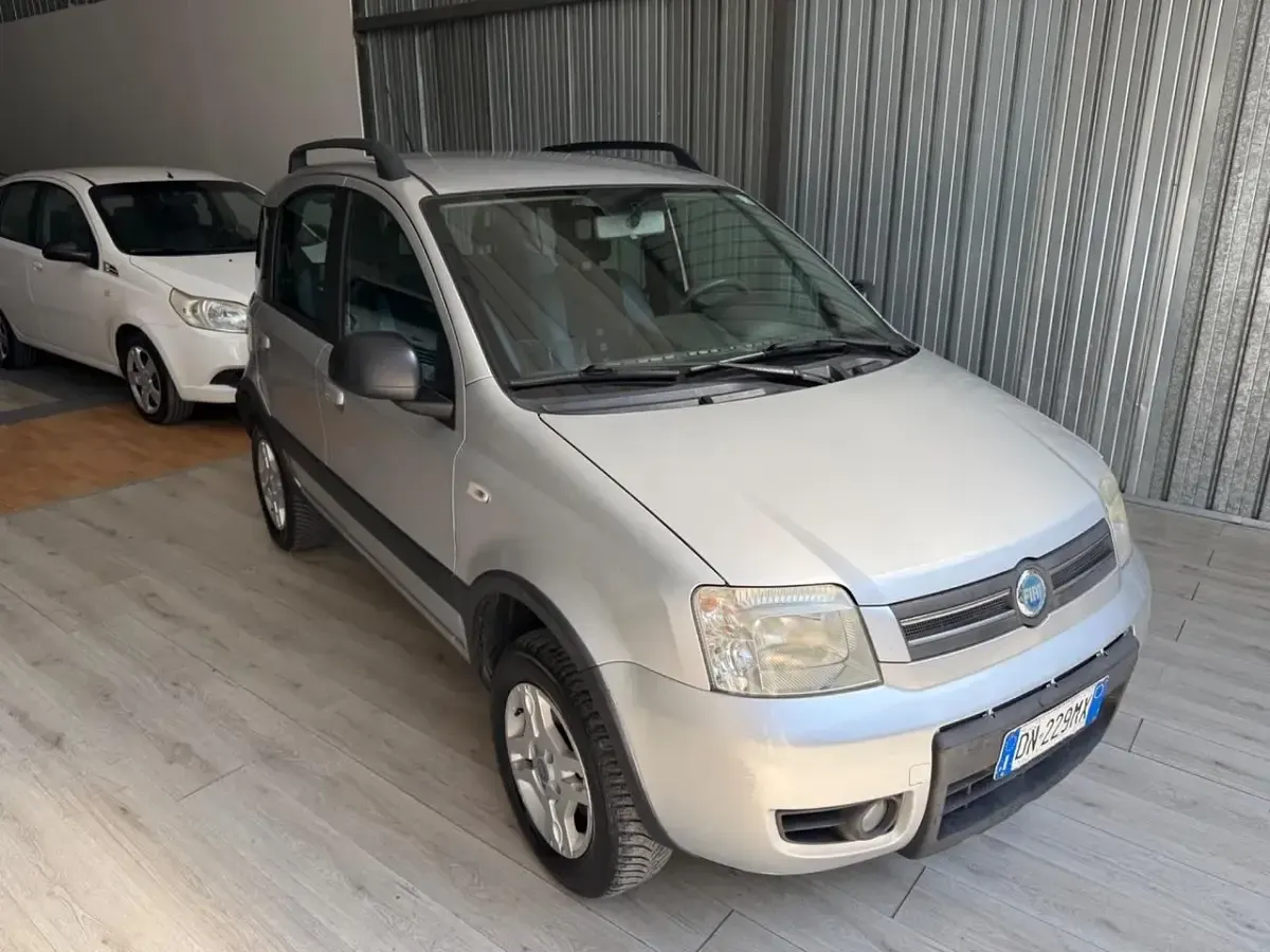 Usata Fiat Panda 4x4 69 CV (50 kW) 2008 Utilitaria