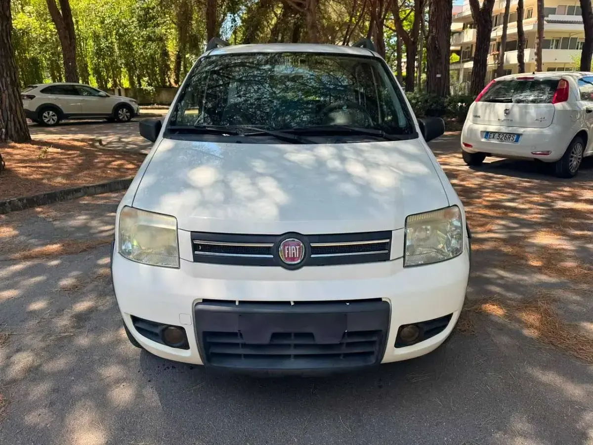 Usata Fiat Panda 4x4 60 CV (44 kW) 2009 Bianco Utilitaria