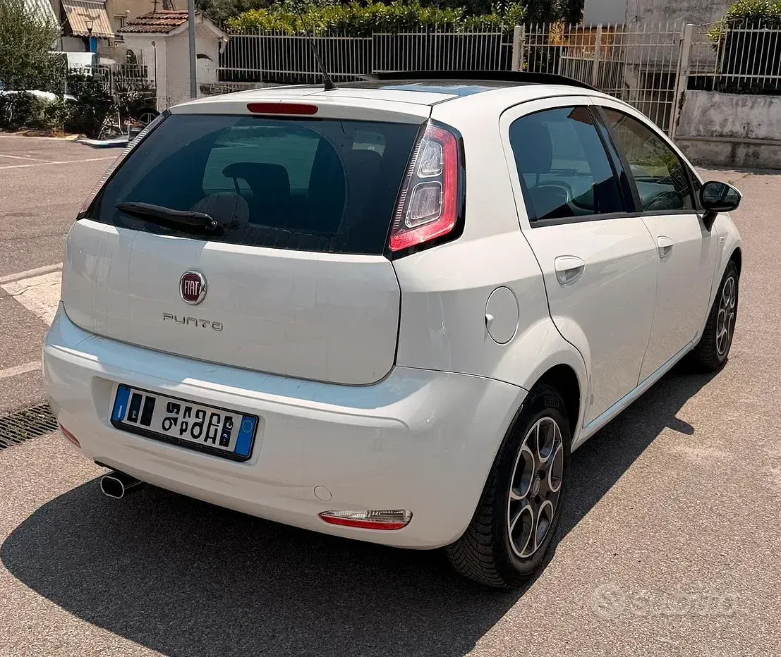 Usata Fiat Punto Lounge 85 CV (62 kW) 2015 Bianco Utilitaria