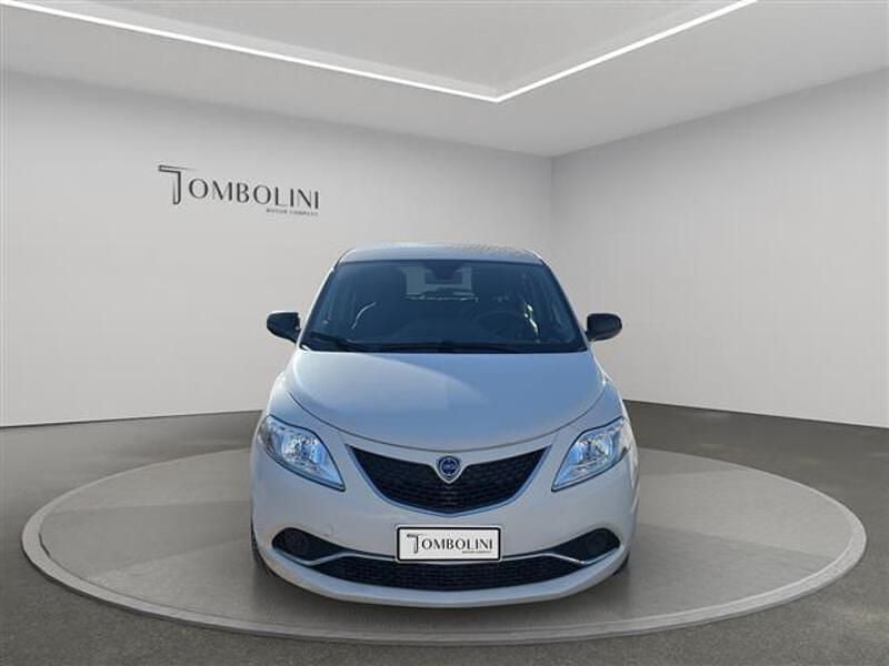 Usata Lancia Ypsilon Silver 95 CV (69 kW) 2016 Beige Utilitaria