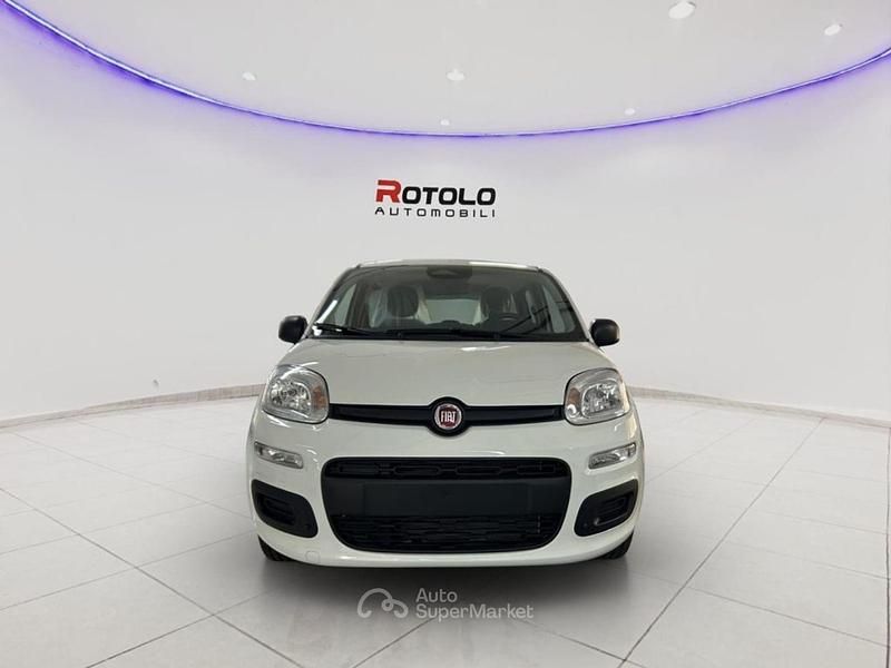 Nuova Fiat Panda Icon 69 CV (50 kW) 2025 Bianco Berlina