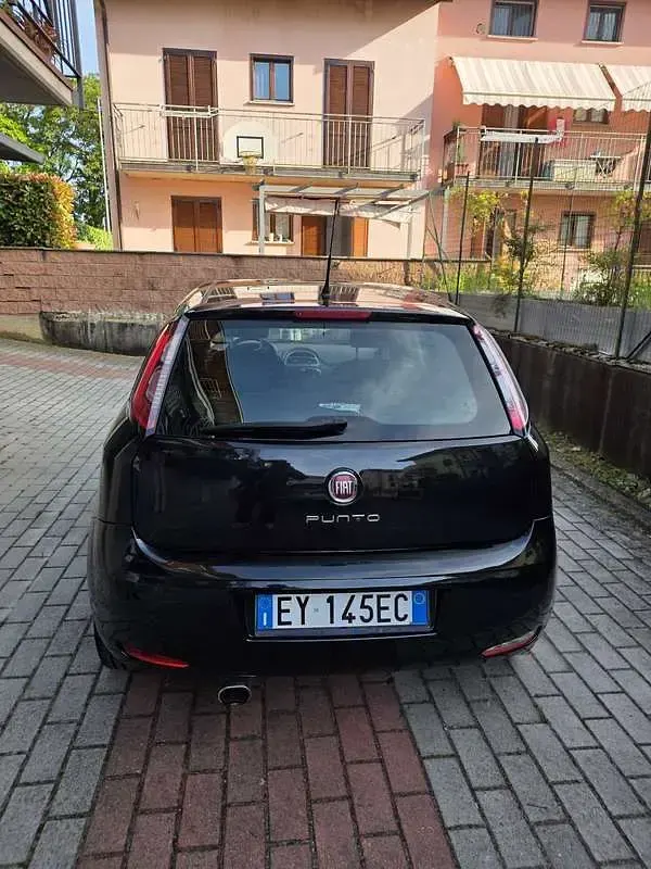 Usata Fiat Punto Young 69 CV (50 kW) 2014 Utilitaria
