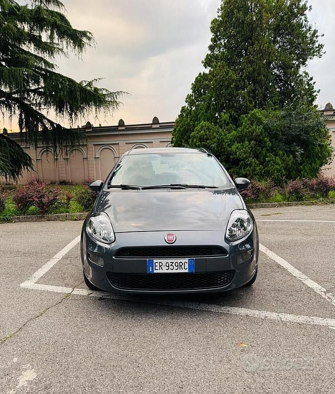 Usata Fiat Punto Lounge 69 CV (50 kW) 2013 Grigio Berlina