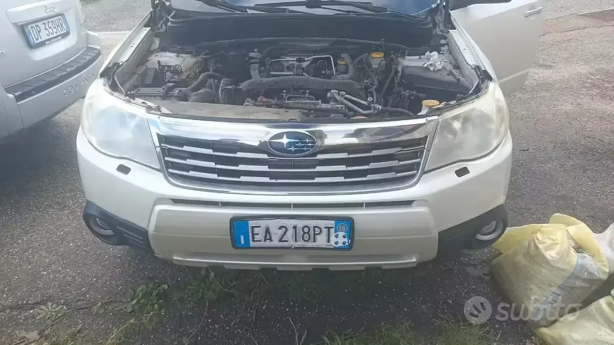 Usata Subaru Forester 147 CV (108 kW) 2010 Bianco SUV