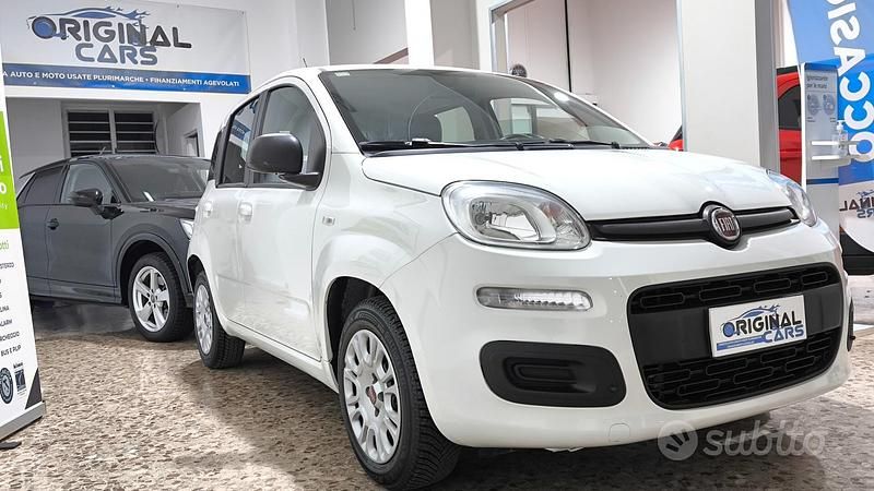 Usata Fiat Panda Easy 69 CV (50 kW) 2019 Bianco Utilitaria