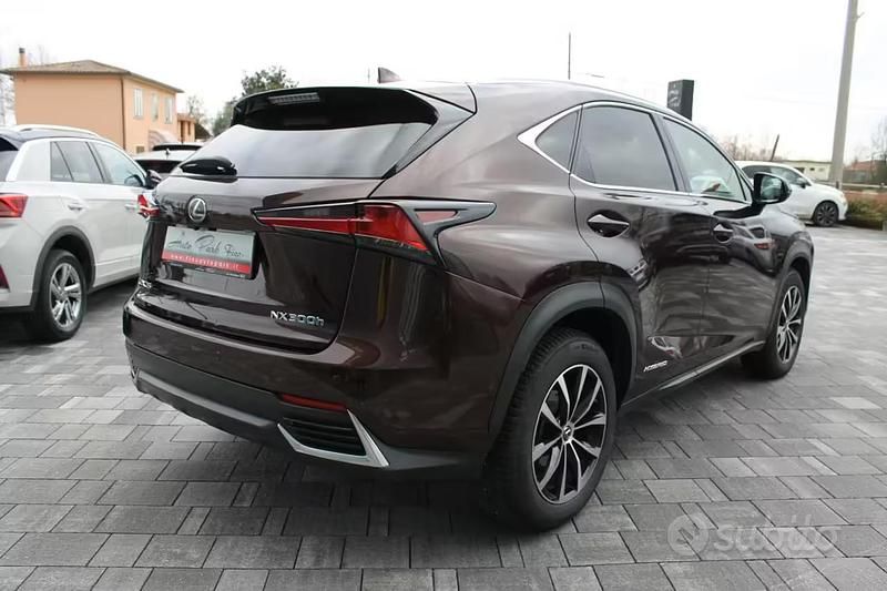Usata Lexus NX300h Business Edition 155 CV (114 kW) 2018 Marrone SUV