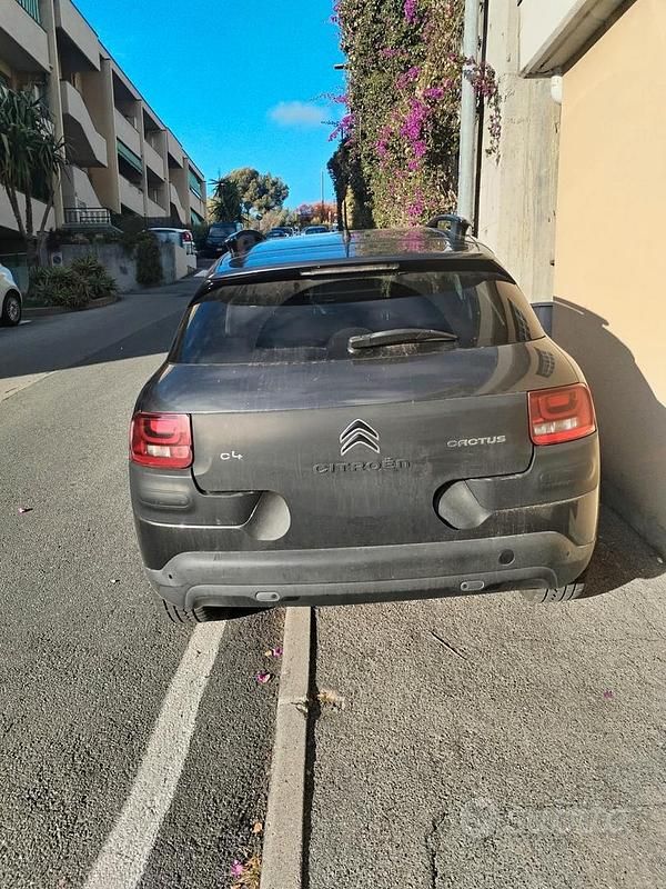 Usata Citroën C4 Cactus 2015 Grigio Utilitaria